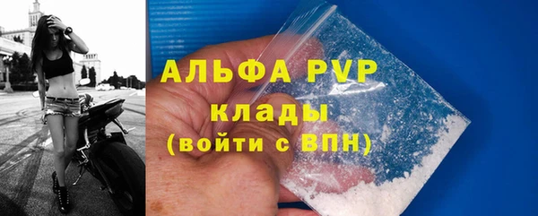 a pvp Бородино