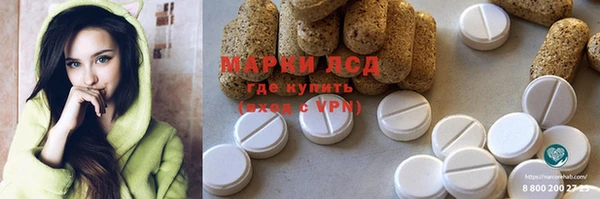 a pvp Бородино