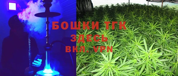 a pvp Бородино