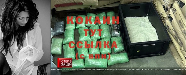 a pvp Бородино