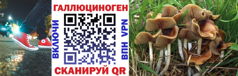 Псилоцибиновые грибы Magic Shrooms  как найти наркотики  МЕГА   Чехов 